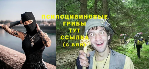 прущая мука Алексин