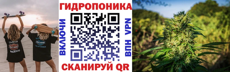 Канабис ГИДРОПОН  Ветлуга 